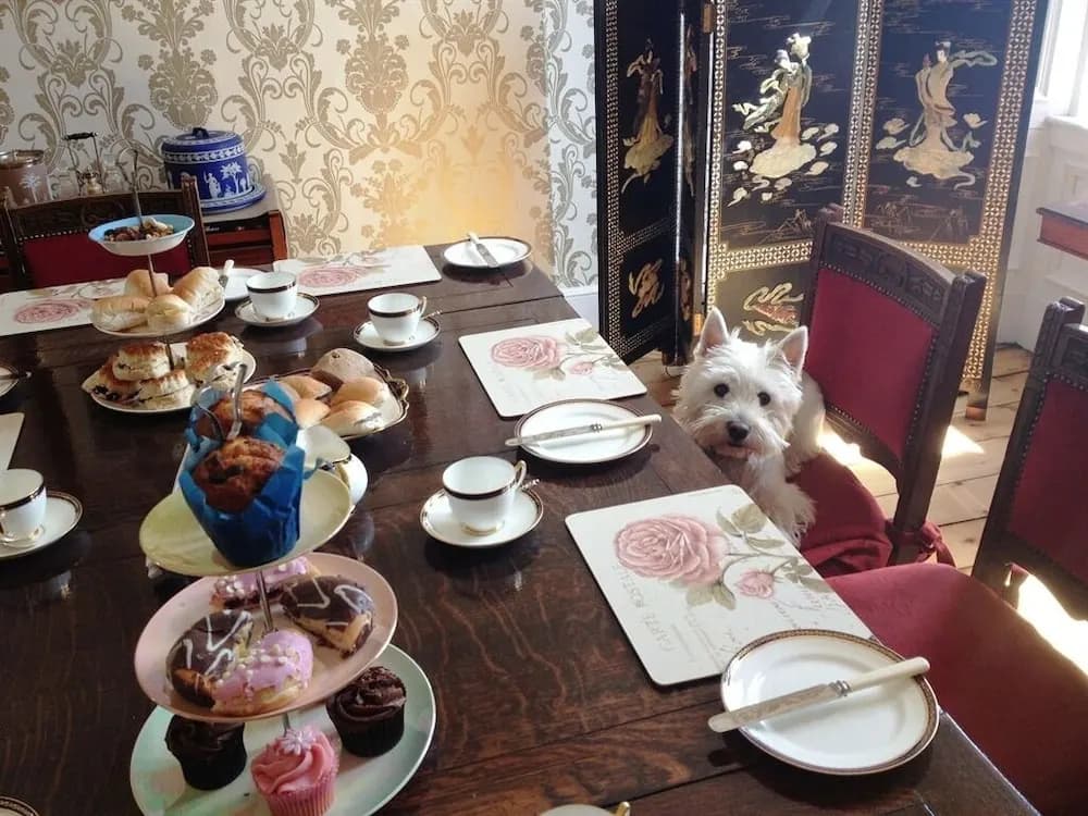 Glendevon Central Bed and Breakfast - photo 12