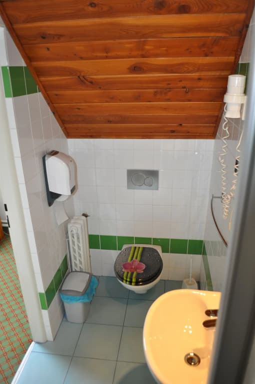 Hotel Svornost - photo 10