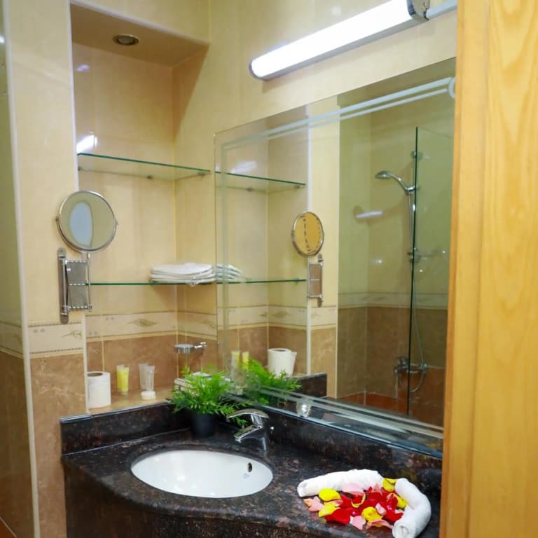 Doha Dynasty Hotel - photo 8