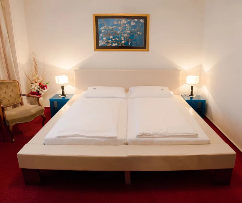 Hotel Pension Dormium - photo 4