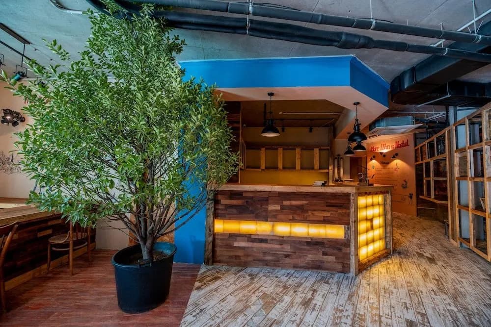 The Bridge Hostel - photo 12