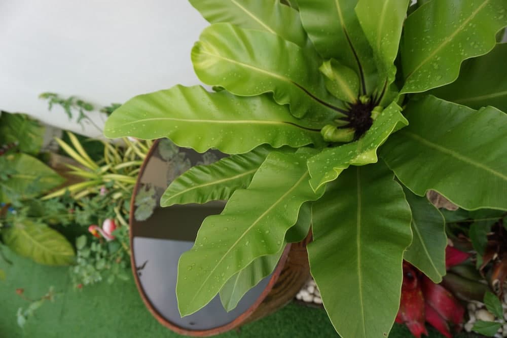 Phannarai House - photo 19