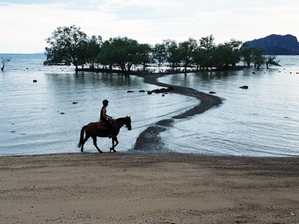 Villa Cha-Cha Krabi Beachfront Resort - photo 14