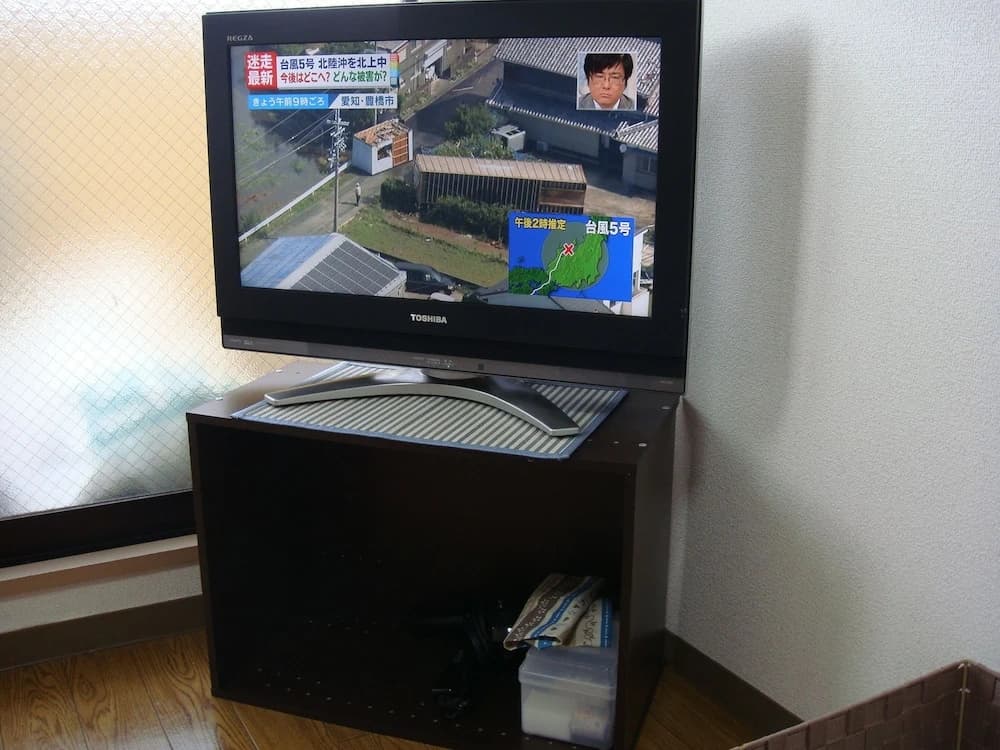 Landmark Hayashi - photo 4