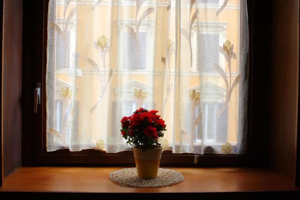 Your Friend in Rome - photo 13