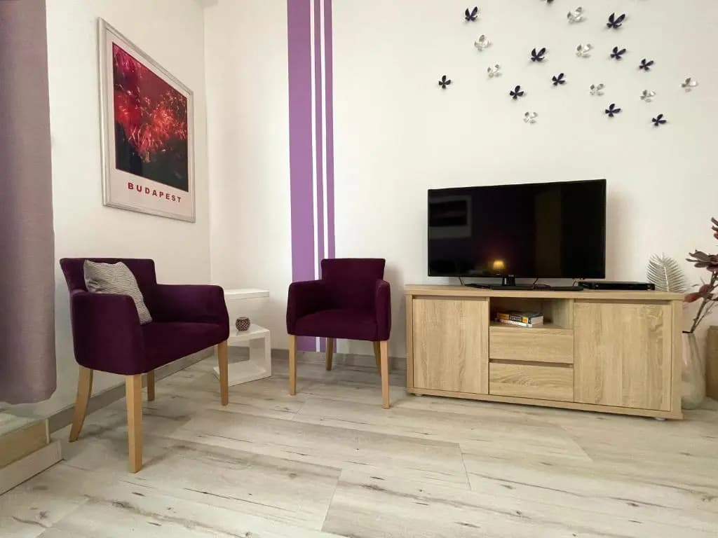 ABT Apartments Karoly - photo 4