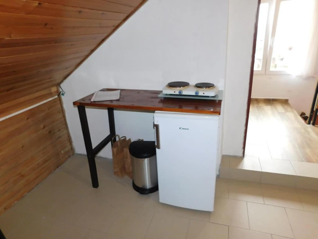 Apartments Zbraslav - photo 16
