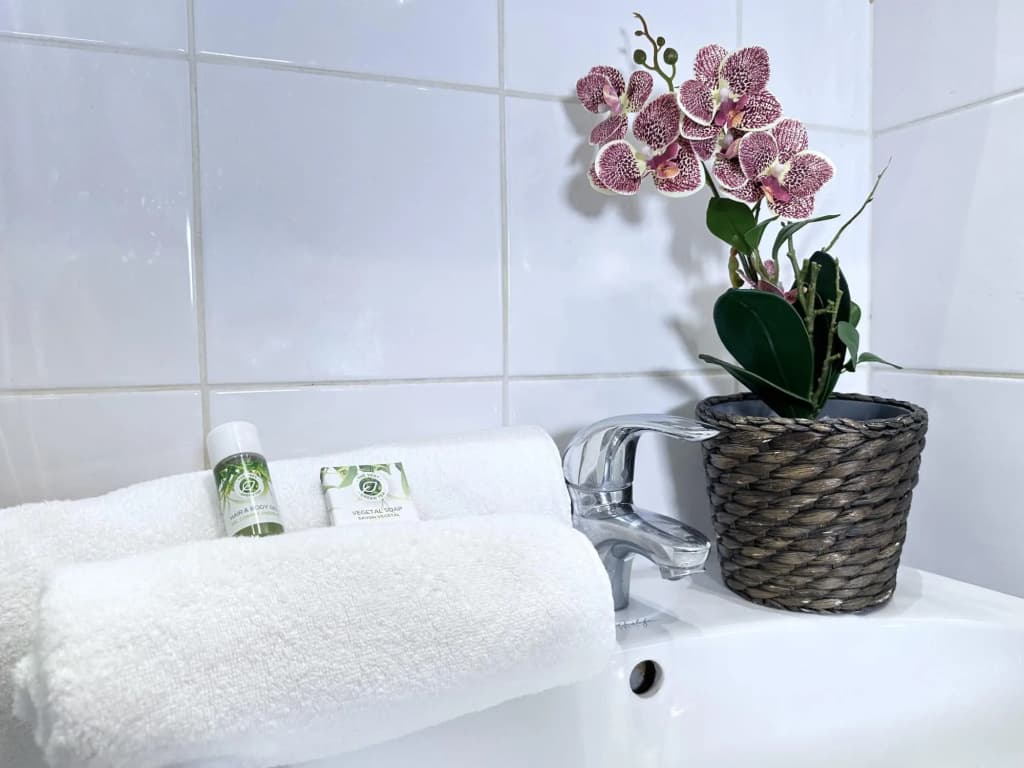 1605 - Best deal apartment - photo 7
