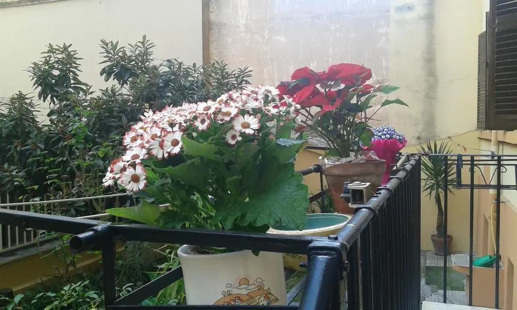 Maison De Chantal - photo 11