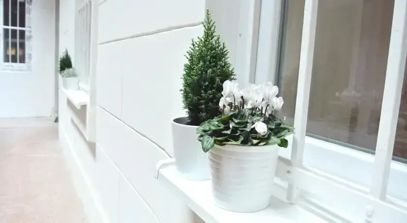 Paulay Design Apartment - photo 8