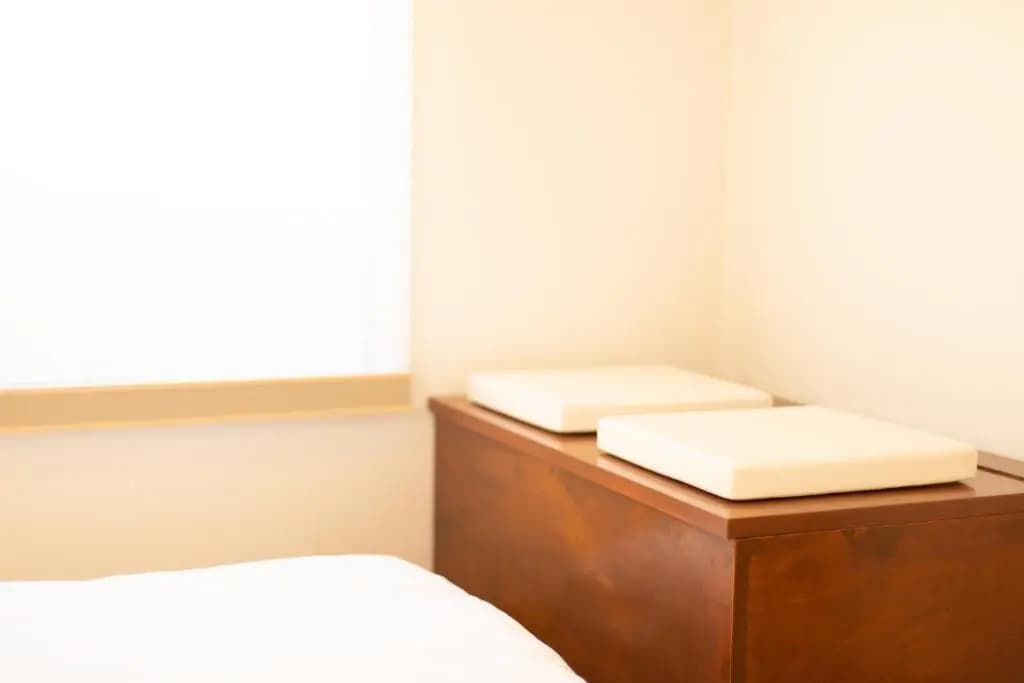 Namba Ebisu Hotel - photo 6