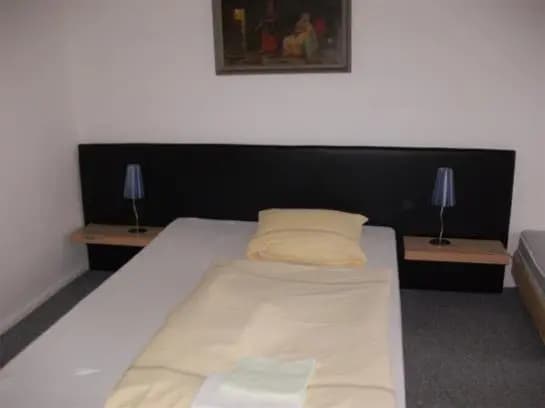 Hotel-Pension Hensel - photo 10