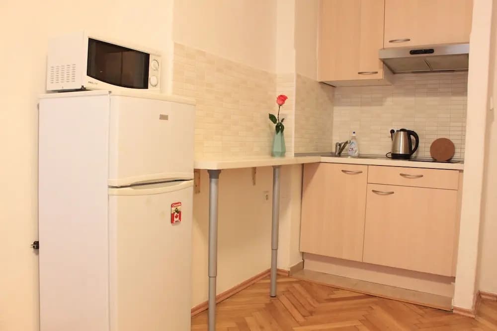 Libicka APARTMEET - photo 8