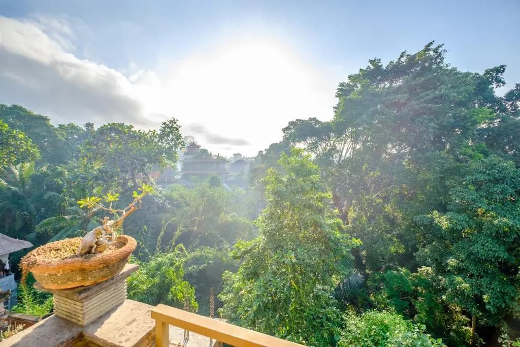 Bali Ubud Harmony - photo 10