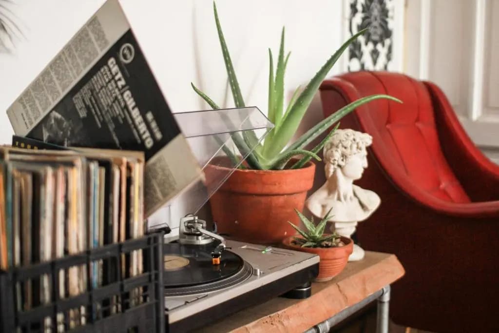 Coliving Trastevere - photo 8