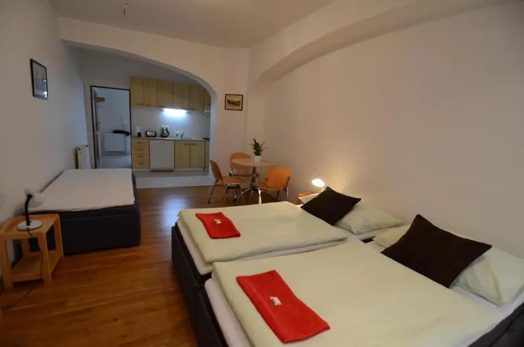 Apartments Karlin - photo 12