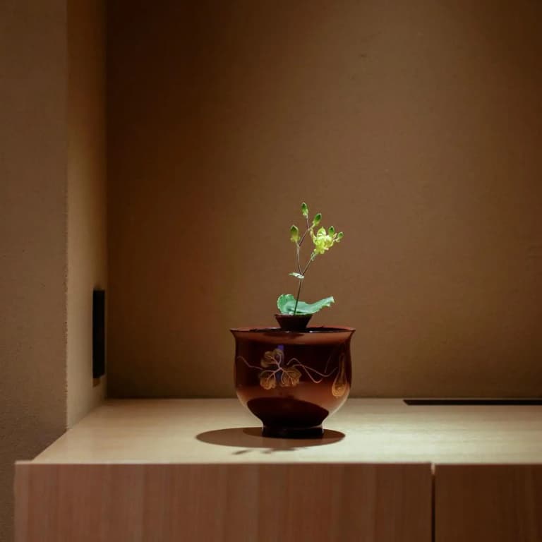 Kaminarimon Ryokan - photo 17