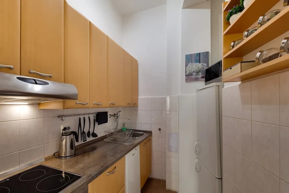 Prague city center apartment - photo 8