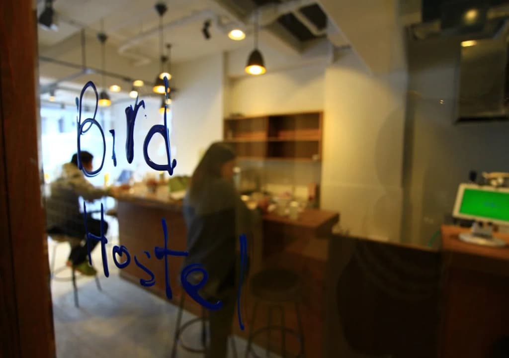 Bird Hostel - photo 26