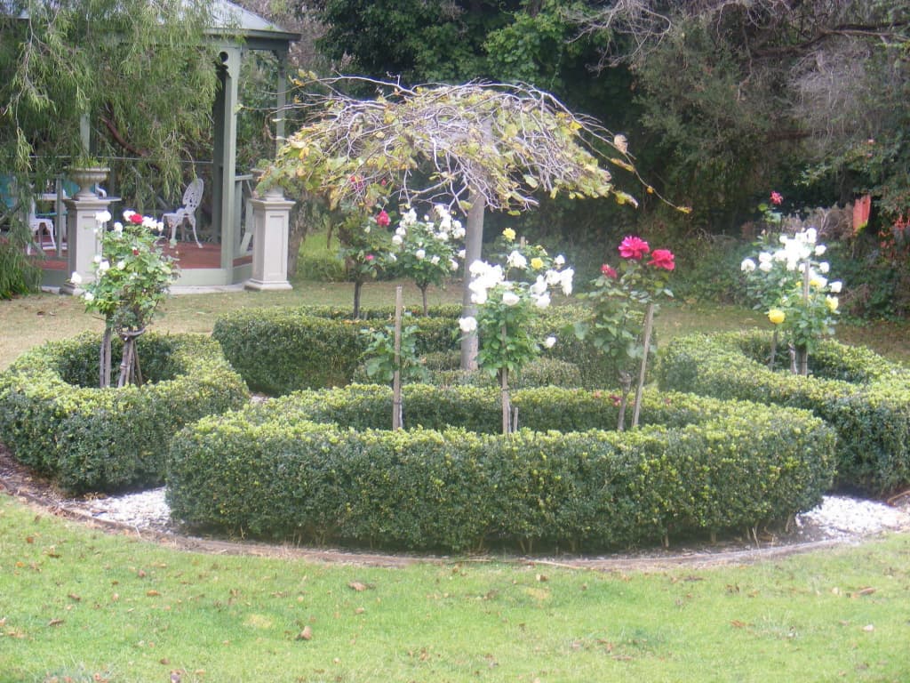 Weeroona - photo 19