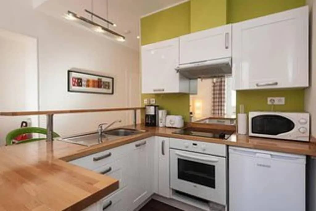 Barla 3 - a Spacious One Bedroom Apartment Near Place Garibaldi - photo 9
