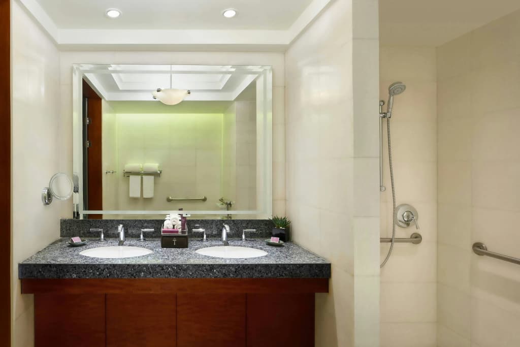 The Nile Ritz-Carlton, Cairo - photo 9