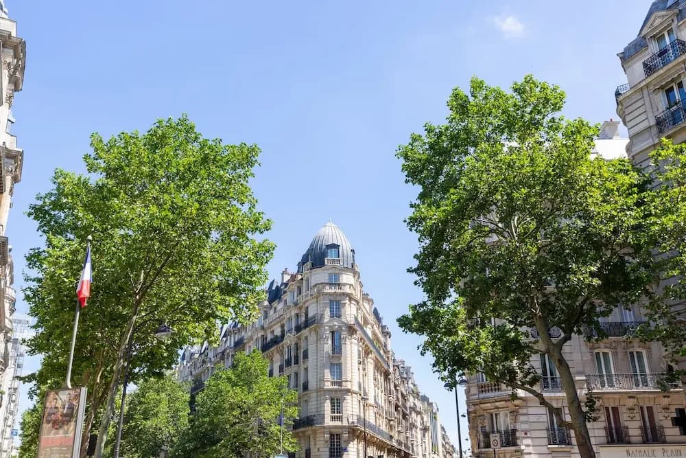 Parisian Charm by Pereire - main photo