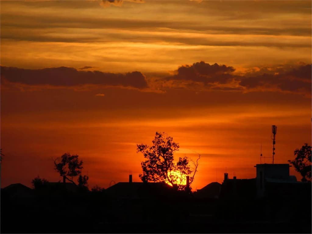 Sun Inns Hotel - photo 17