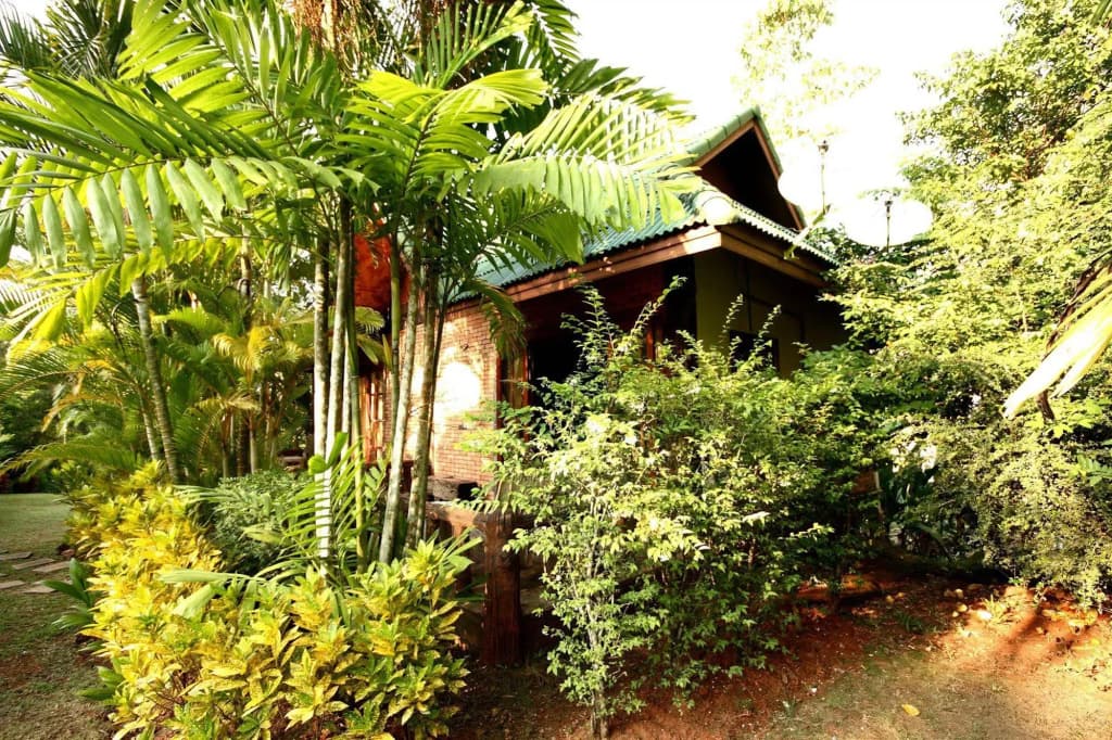 Vipa Tropical Resort - photo 13