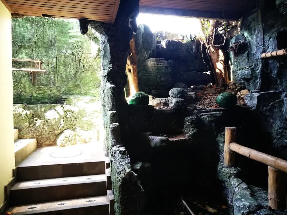 Bunk'd Backpackers Villa - Hostel - photo 11