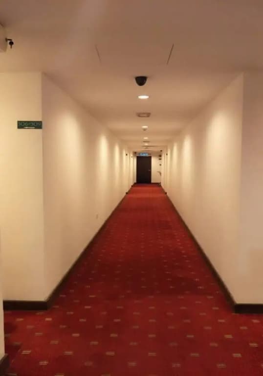 Hotel Mercury - photo 8