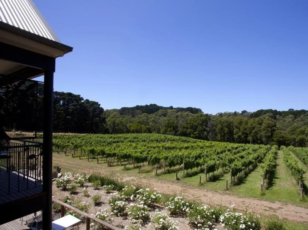 Mantons Creek Estate & Lodge - photo 10