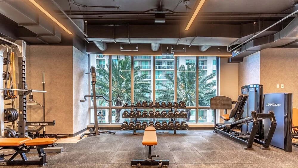 Downtown Miami Condos by Lua Host - photo 20