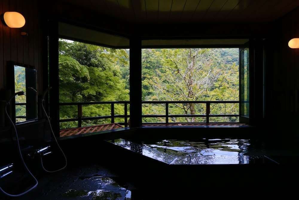 Momijiya Honkan Takao Sansou Ryokan - photo 15