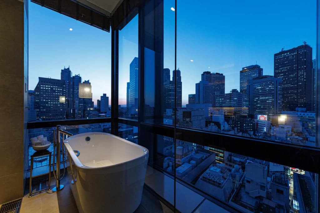 Jr Kyushu Hotel Blossom Shinjuku - photo 46