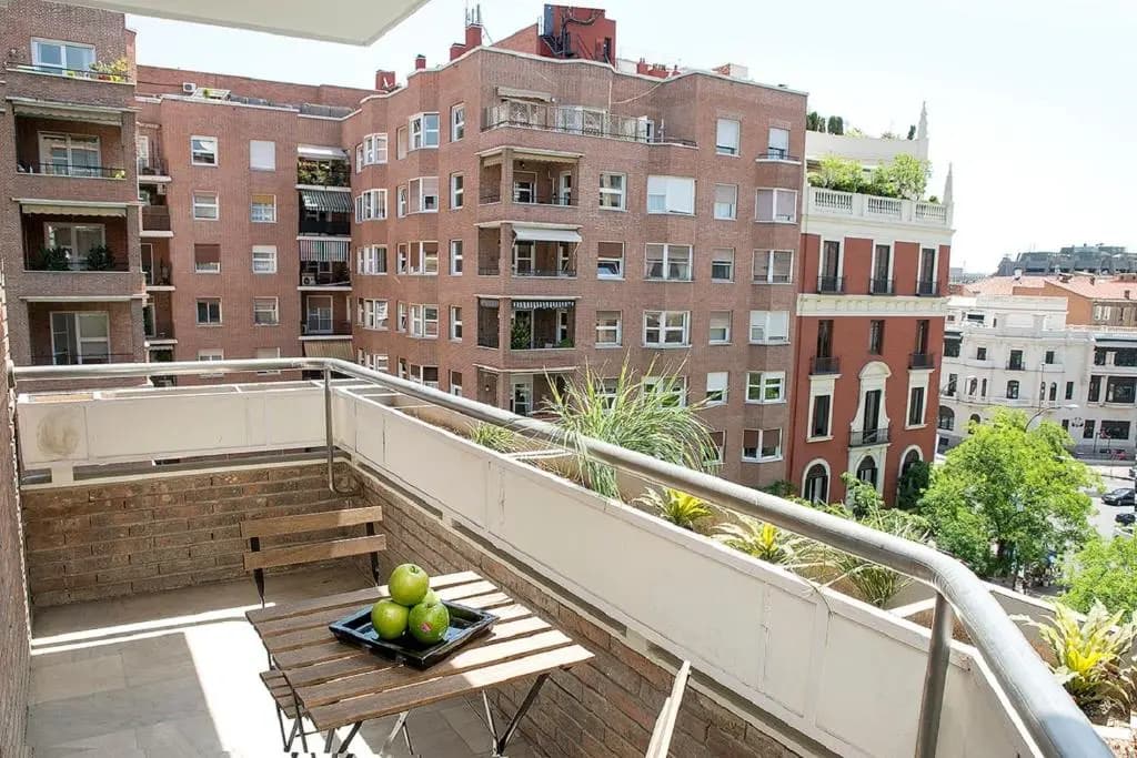 Madrid Rental Flats - photo 12