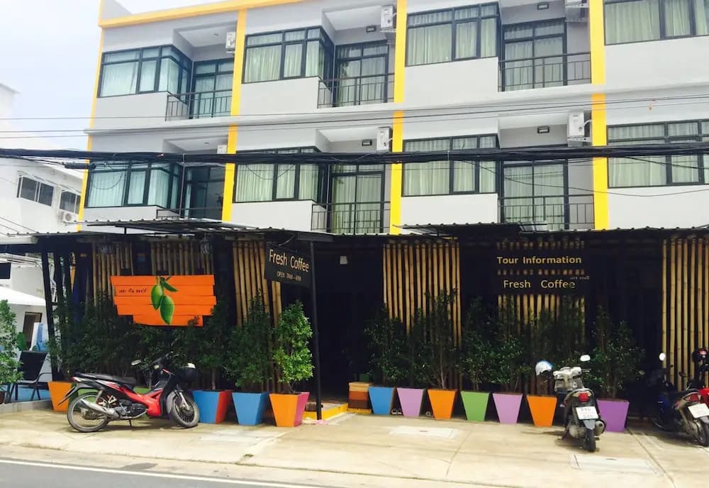The Nice Mangoes - photo 1