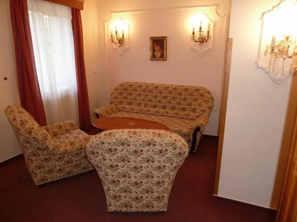 Vysehrad Hotel - photo 7
