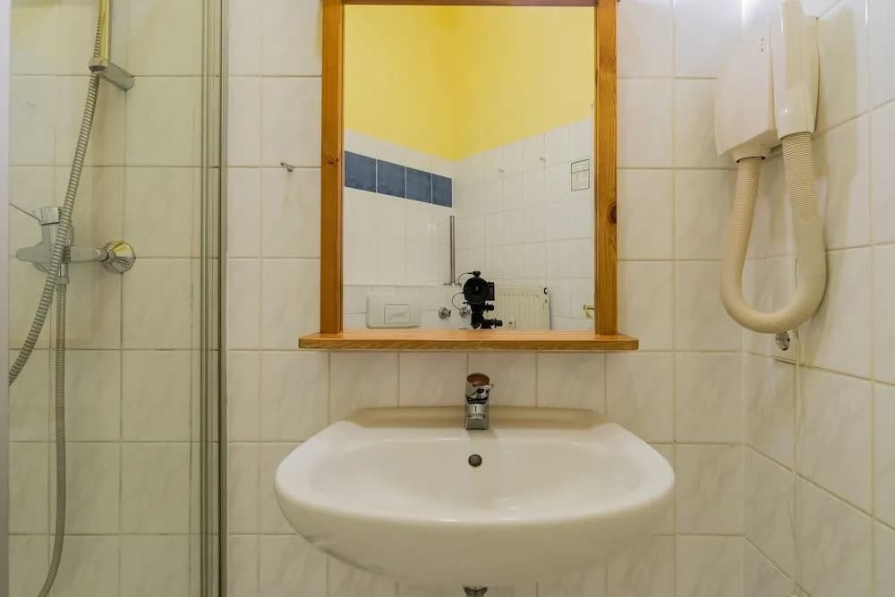 Buchholzer Hotel - photo 6