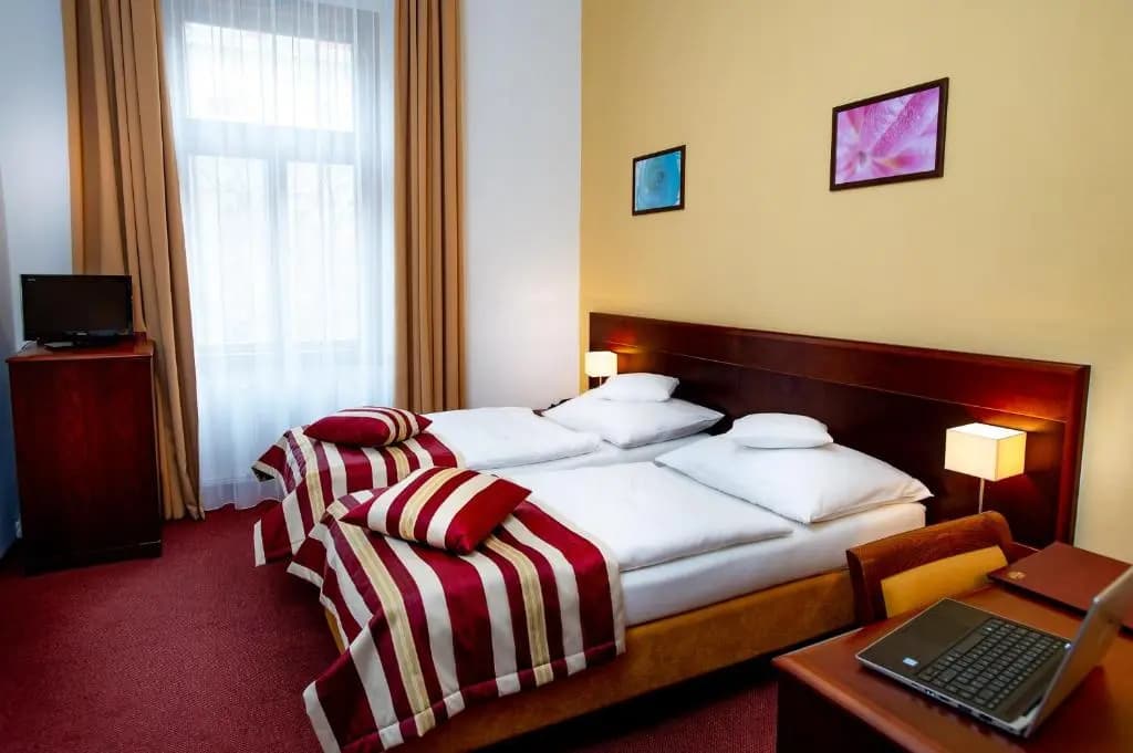 Hotel Petr - photo 4