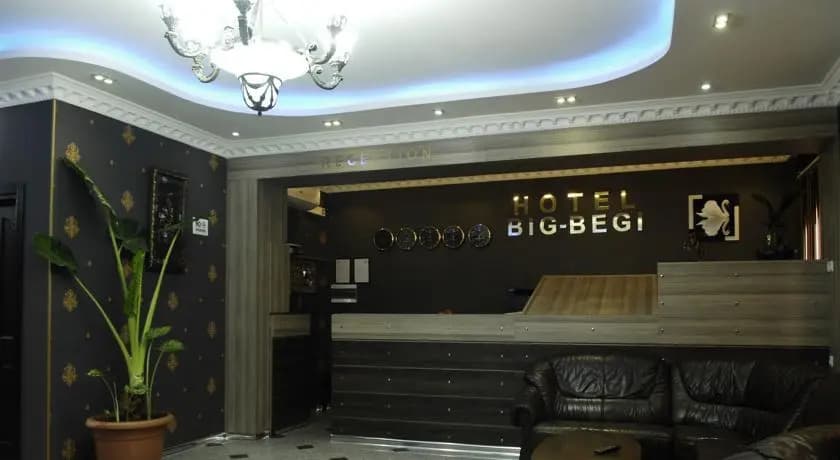 Hotel Big Begi - photo 2
