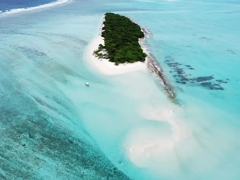 Annama Lodge And Dive - photo 21