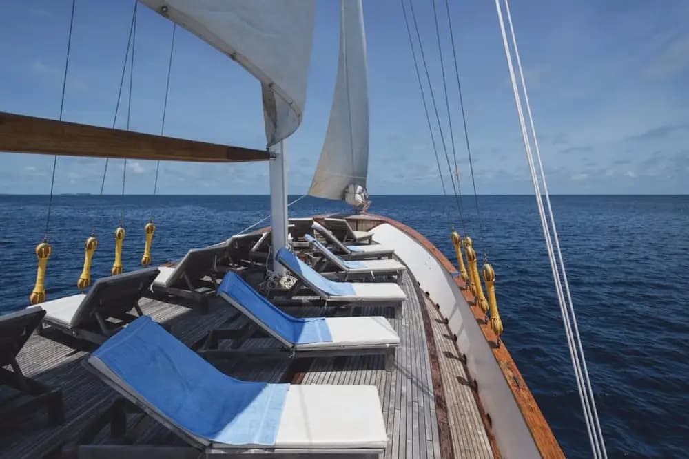 Dream Voyager - photo 15