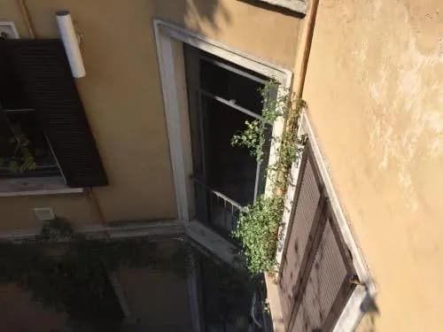 Aparthotel San Gregorio 45 - photo 44