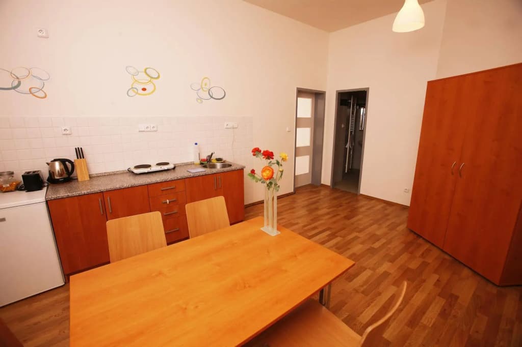 Alea Apartments House - photo 12