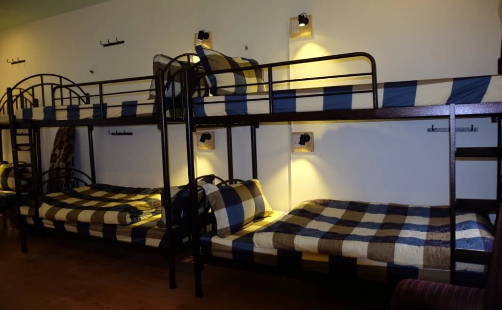 Cheetah Hostel - photo 6