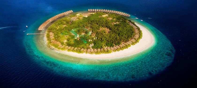 J Resort Alidhoo - photo 15