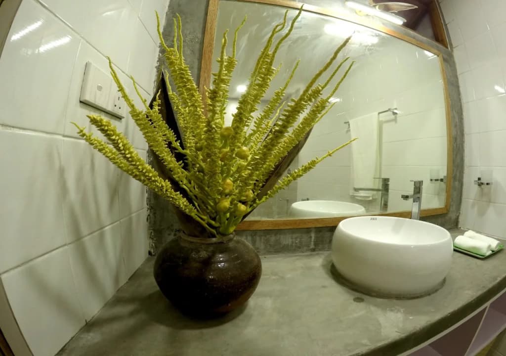 Dhiffushi White Sand Beach Hotel - photo 10