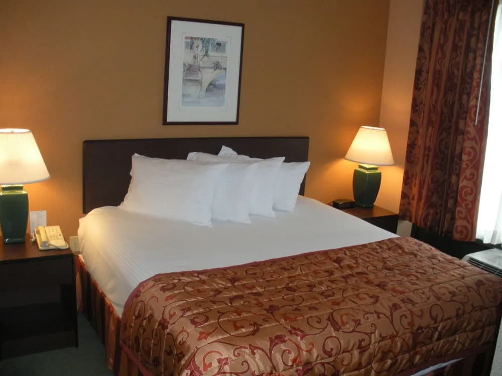 Ramada Suites Orlando Aiport - photo 3