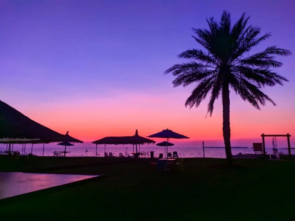 Bin Majid Flamingo Beach Resort - photo 42
